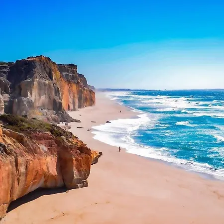Surfness باليال